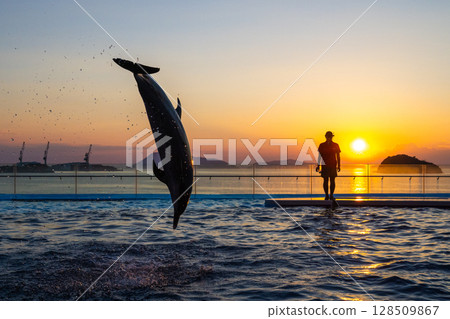 黃昏海豚表演 黃昏海豚表演 128509867