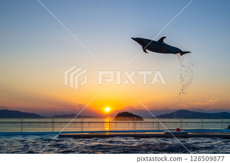 Dusk dolphin show Dusk dolphin show 128509877