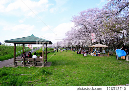 駒川沿岸的櫻花堤岸擠滿了賞櫻者 128512740