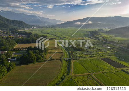 Vast rice fields and the Hakuba mountain range, Hakuba Village, Nagano Prefecture (aerial photography by drone) 128513813
