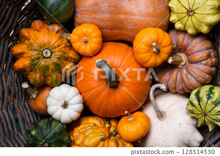 Different types and colors of pumpkins close up Different types and colors of pumpkins close up 128514530