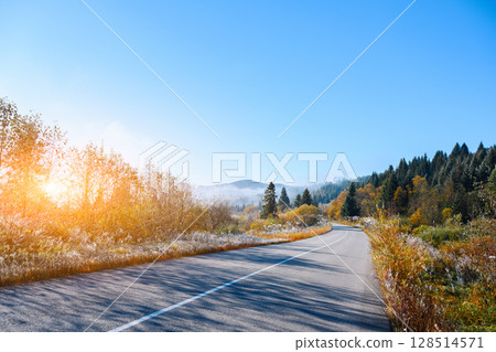 Orange-leaved trees in foggy forest frame a frosty road at dawn 128514571