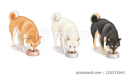 三隻柴犬在吃食物 三隻柴犬在吃食物 128515041