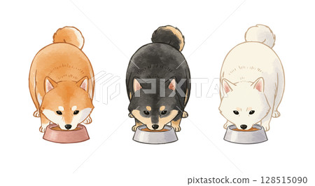 Three Shiba Inu puppies eating food Three Shiba Inu puppies eating food 128515090