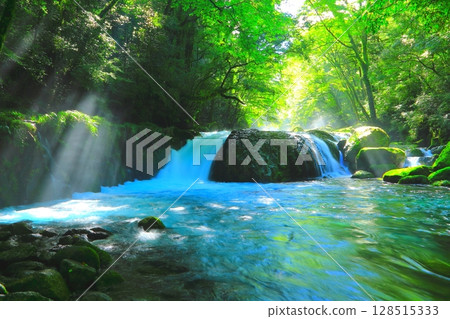 陽光照耀下的菊池溪谷(菊池市黎明瀑布) 陽光照耀下的菊池溪谷(菊池市黎明瀑布) 128515333