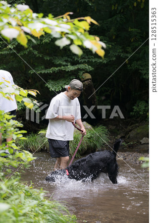 A large dog and its owner playing in the river. A dog that enjoys the heat and plays in the river in summer. 128515363