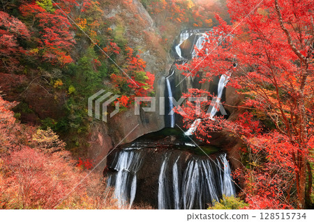 [Ibaraki Prefecture] Autumn leaves at Fukuroda Falls 128515734
