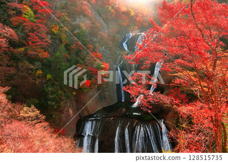 [Ibaraki Prefecture] Autumn leaves at Fukuroda Falls 128515735