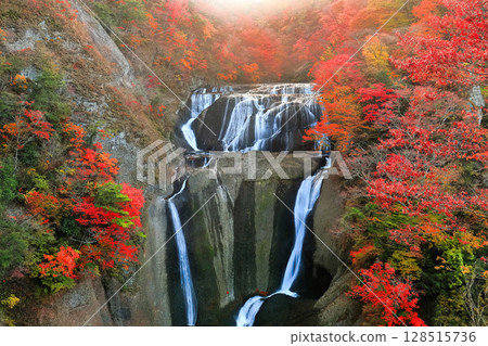 [Ibaraki Prefecture] Autumn leaves at Fukuroda Falls 128515736