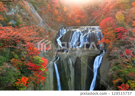 [Ibaraki Prefecture] Autumn leaves at Fukuroda Falls 128515737