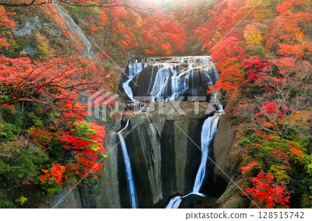 【茨城縣】袋田瀑布的紅葉 128515742