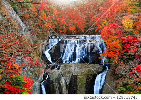 【茨城縣】袋田瀑布的紅葉 【茨城縣】袋田瀑布的紅葉 128515745