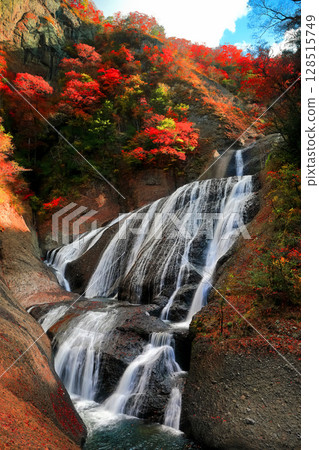 【茨城縣】袋田瀑布的紅葉 128515749