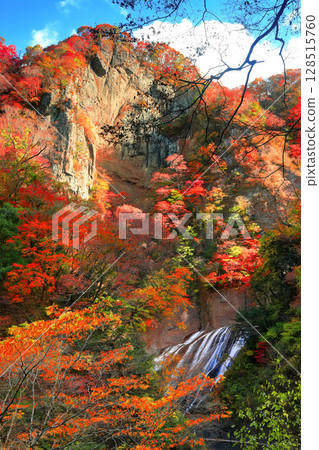 [Ibaraki Prefecture] Autumn leaves at Fukuroda Falls 128515760