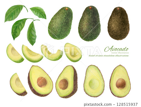 Vector illustration set of cut avocados painted in watercolor 128515937