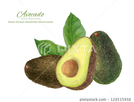 用水彩畫的切開的酪梨的向量插圖 128515938