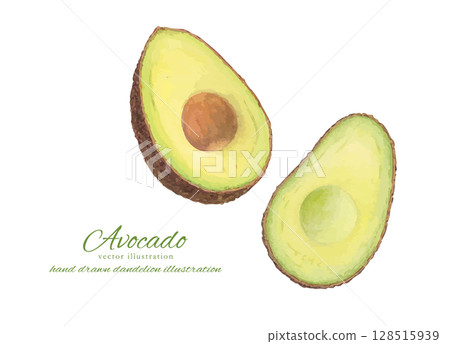 Vector illustration of a cut avocado painted in watercolor Vector illustration of a cut avocado painted in watercolor 128515939
