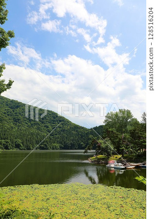 The lush lakeside of Lake Hokuryu The lush lakeside of Lake Hokuryu 128516204