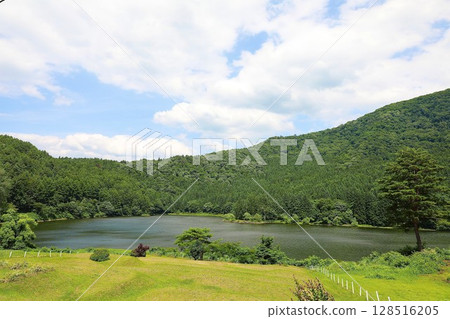 A lake in the midst of lush nature A lake in the midst of lush nature 128516205