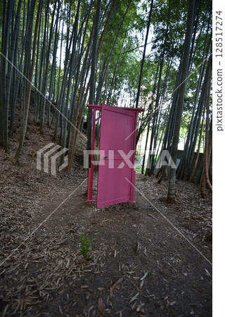 竹林裡的任何門,旅遊景點 竹林裡的任何門,旅遊景點 128517274