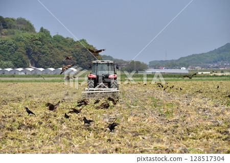Farming scene with tractor 128517304