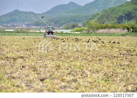 Farming scene with tractor 128517307