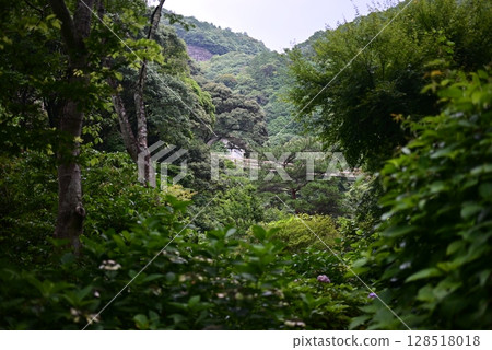 山綠自然風光 山綠自然風光 128518018