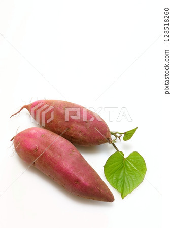 剛採摘的地瓜（Beni Haruka，垂直構圖） 128518260