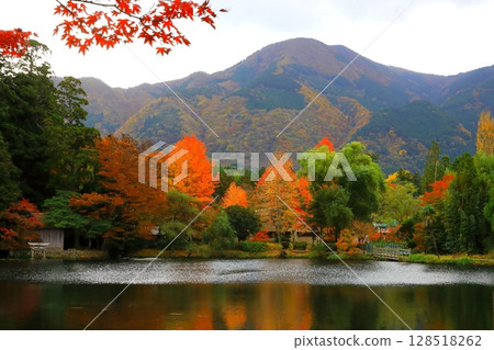 Lake Kinrin in autumn (Yufuin-cho, Yufu City) 128518262