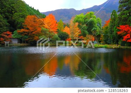 秋天的金鱗湖（由布市由布院町） 128518263