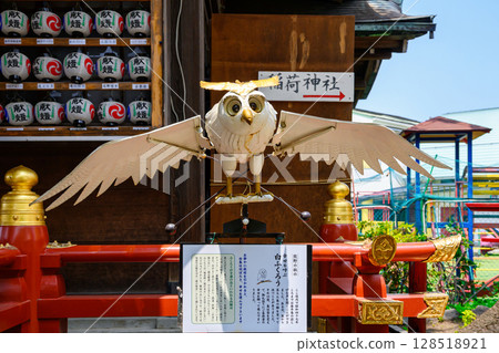 Tateishi Kumano Shrine, Gohoyama, Katsushika Ward, Tokyo - A shrine associated with Abe no Seimei, featuring a white owl that brings happiness 128518921