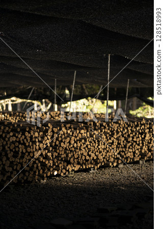 Stacked firewood 128518993