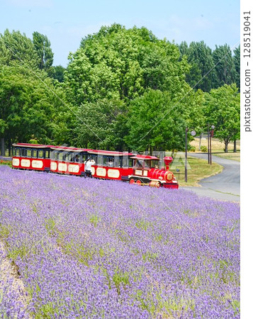 Spectacular views of Hokkaido: Sapporo Satoland's lavender fields and steam locomotive bus 128519041