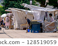 250709 宮川早市插圖 111g071 128519059