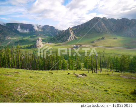 The grasslands and Turtle Rocks of Terelj, Mongolia The grasslands and Turtle Rocks of Terelj, Mongolia 128520035