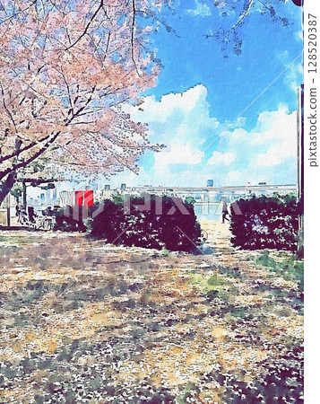 櫻花水彩 128520387