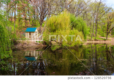 View of the Krasnokutsk park, Kharkiv region, Ukraine 128520736