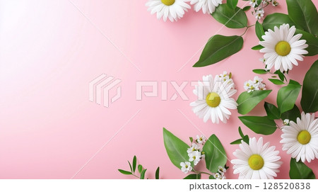 chamomile white flowers and leaves rounded on the edge decoration copy space 128520838