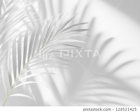 A sophisticated white background with the shadows of palm leaves 128521425