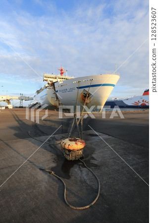 Ibaraki, Oarai, the Sanfurawa Ashiretoko that completed its final flight 128523607