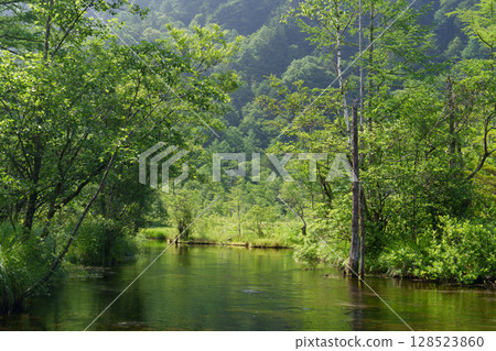 Kamikochi Tashiro Marsh in July Kamikochi Tashiro Marsh in July 128523860
