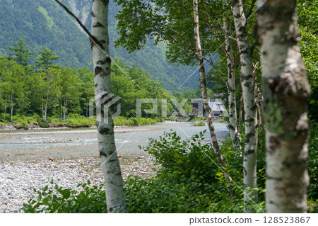 Kamikochi in July: Azusa River and Kappabashi Bridge 128523867