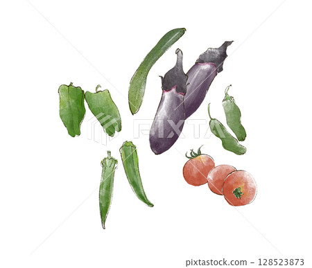 水彩畫的夏季蔬菜插圖 水彩畫的夏季蔬菜插圖 128523873
