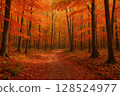 The autumn leaves forest 128524977