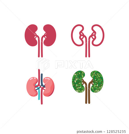 Illustration of human kidneys Illustration of human kidneys 128525235