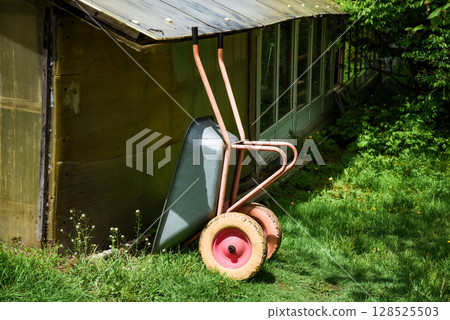 Used garden wheelbarrow with red wheel stands on green grass near shed, ready for autumn harvest tasks in a quiet rural setting. 128525503