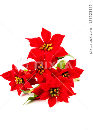 Vivid red poinsettia flowers arranged together on white background. Handmade artificial Christmas floral accent for New Year decoration. Vivid red poinsettia flowers arranged together on white background. Handmade artificial Christmas floral accent for New Year decoration. 128525525