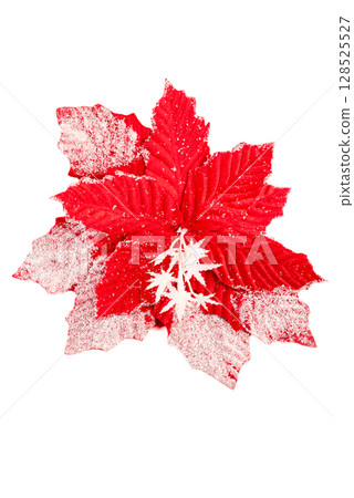 Artificial red poinsettia with white snowflake accents isolated on white background. A cheerful holiday floral for Christmas crafts and winter decor. 128525527