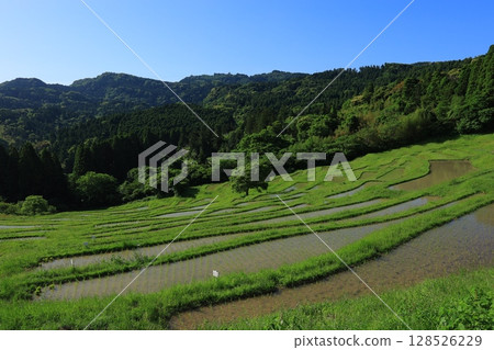 與梯田的風景 128526229