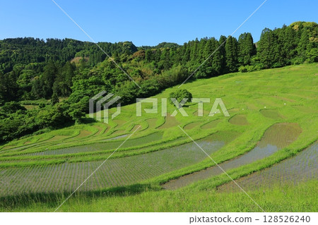 Scenery with rice terraces 128526240